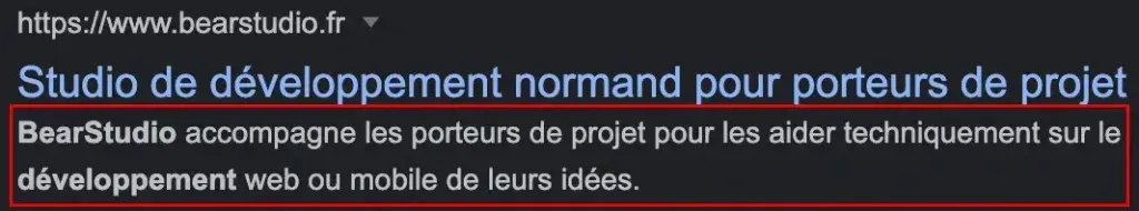 meta description de la page d'accueil du bearstudio